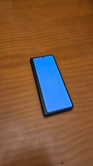 Samsung Z Fold3 5G Negro, Pant. interior no va
