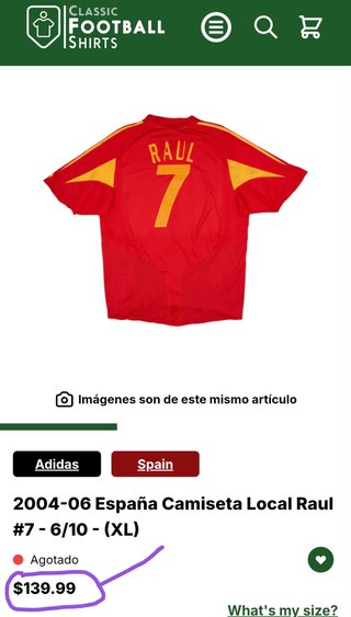 Camiseta de la selección española - Raúl González