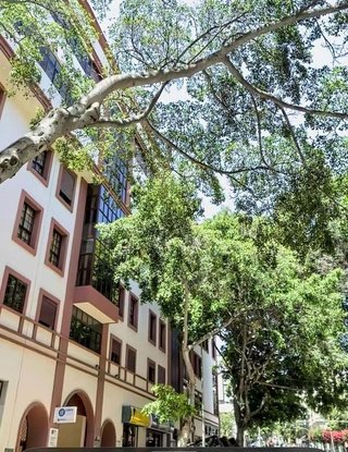 Local comercial en alquiler en Centro en Santa Cruz de Tenerife