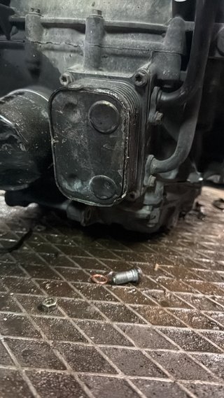 Motor BMW F800 GS 2010