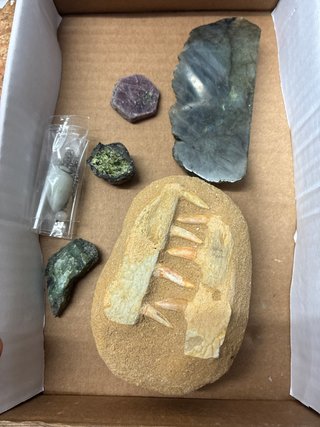 Lote minerales y fósiles