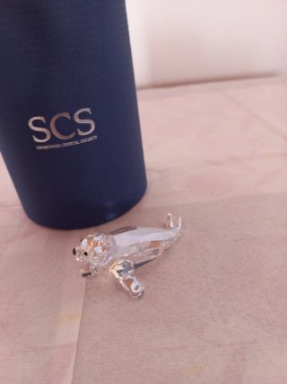 Cria de foca Swarovski SCS Cristal