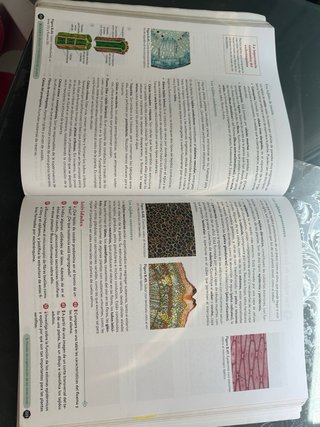 Biología, Geología y CC. Ambientales 1º Bachill...