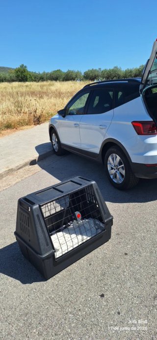 Transportín Perros Medianos/Grandes