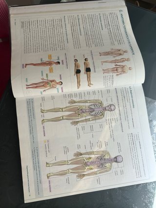 Anatomía aplicada