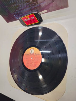 Vinilo Prince Phillip Mitchell Devastation