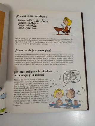 Gran libro de preguntas y respuestas de Carlitos