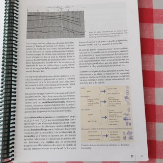 Geologia i ciències ambientals 2 Batxillerat