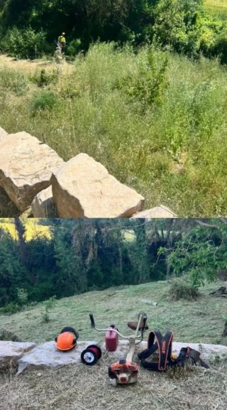 Limpieza de parcela y terrenos