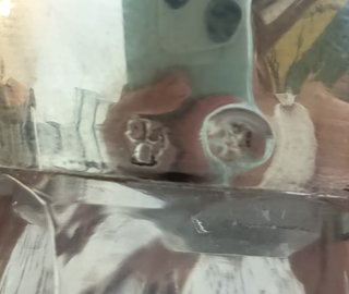 Licorera Torneada cristal y plata