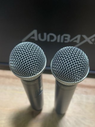 Audibax Sidney 1250 A Micrófono Doble