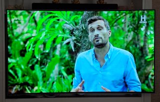 TV LG 55 OLED Curva 3D + Gafas +Mando magic