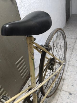 Bicicleta Paseo Torrot 313 Años 90, con marchas.