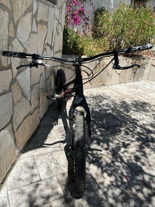Bici Trial Campajor RISE