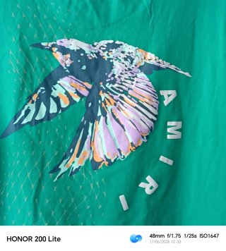 Camiseta Amiri verde con estampado de pájaro