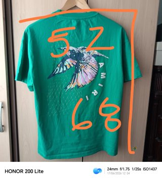 Camiseta Amiri verde con estampado de pájaro