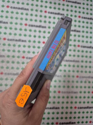 To The Earth NES