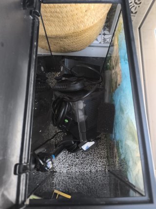 Acuario 30 L  con accesorios