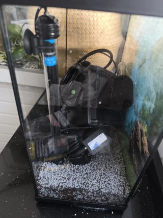 Acuario 30 L  con accesorios