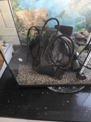 Acuario 30 L  con accesorios