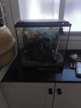 Acuario 30 L  con accesorios