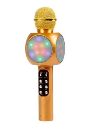 Micrófono Altavoz WSTER WS-1816 Rojo Dorado