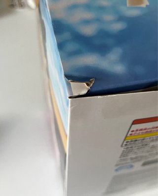 Figura Maomao Banpresto