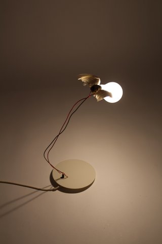 Lámpara Lucellino 1a ed. Ingo Maurer 1992 Alemania