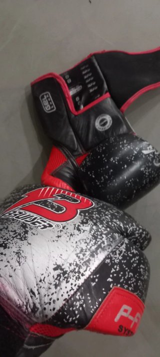 Guantes de Boxeo Bruiser 16 onz