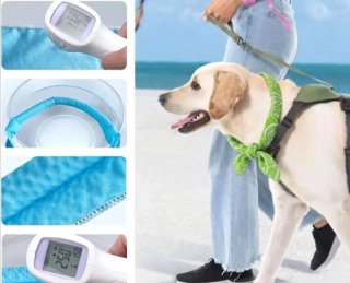 Pañuelo Refrescante para Perros