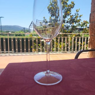 Copa vino metacrilato funda cuero