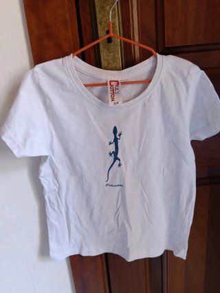 Lote Ropa Niña Talla 3/4 Años