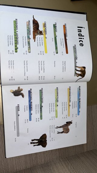 Libro Mamíferos NGV Aprender es facil