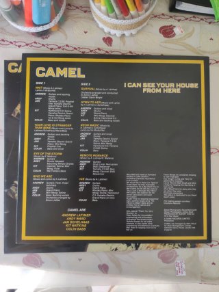 Vinilo Camel I Can See Your House From Here