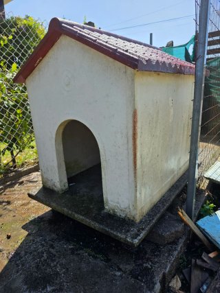 Caseta Perro Hormigón