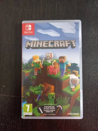 Minecraft Nintendo Switch