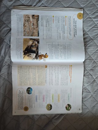 Ciencias Sociais 4