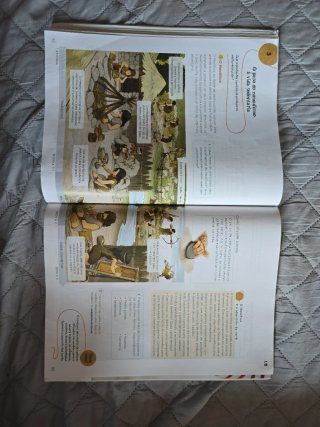 Ciencias Sociais 4