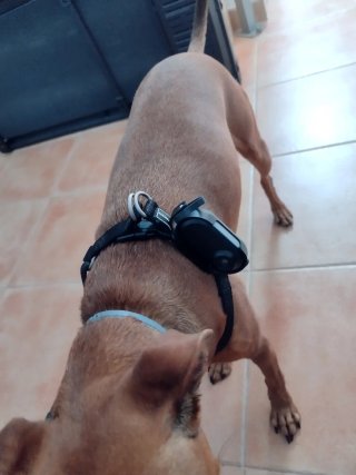 Cámara Mini HD Accesorios