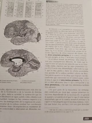 Libros psicología Uned
