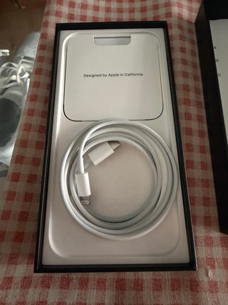 iPhone13 pro max 256gb