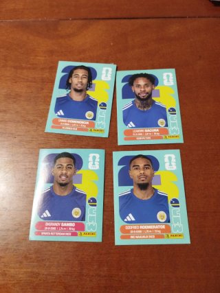 Cartas Mundial 2026: Nico González y Paredes