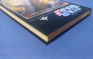 Star Wars: El Laberinto del Mal