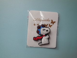 Calamite da frigo Snoopy ed i suoi amici