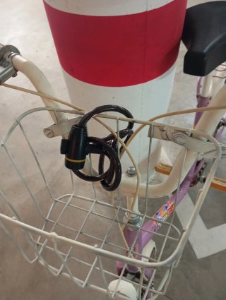 Bicicleta Vintage Morada con Cesta