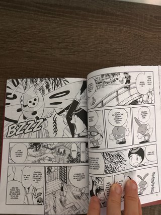 Pokemon Rubí y zafiro Volumen 1