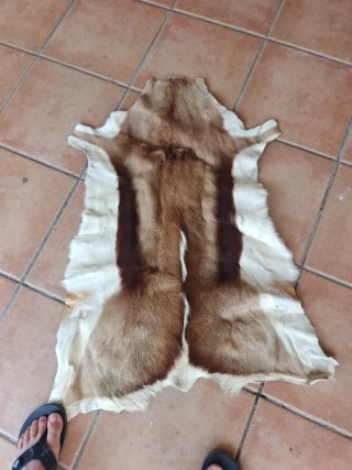 Piel de gacela auténtica