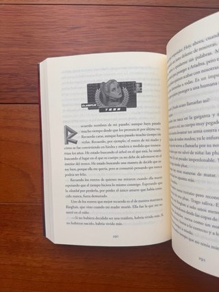 LA FURIA Y EL LABERINTO - Iria G. P. y Selene M. P