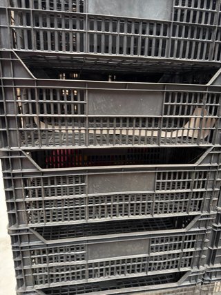 Caja frutera negra de plástico