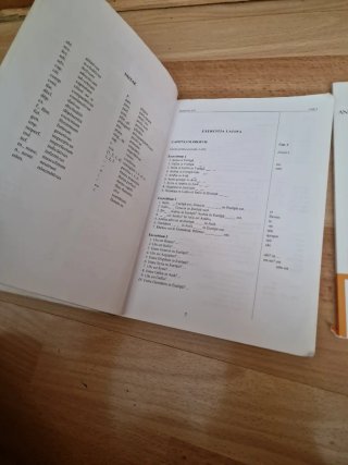 Lingua latina per se illustrata
